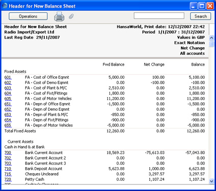 new balance balance sheet